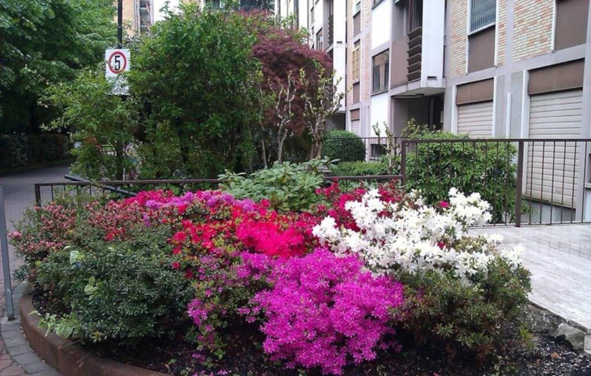 Giolì Bed & Breakfast Milano
